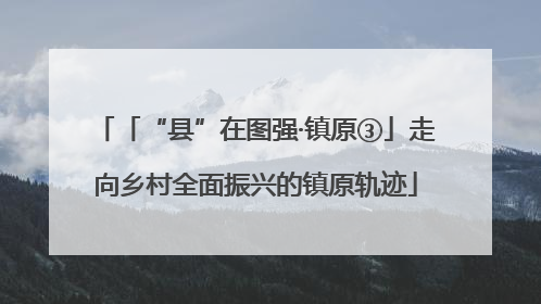 「“县”在图强·镇原③」走向乡村全面振兴的镇原轨迹
