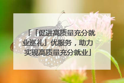 「促进高质量充分就业巡礼」优服务，助力实现高质量充分就业