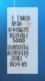 「城市更新· 乡村振兴看济南」5000亩稻田玩起黑科技 济阳“黄河·稻乡湾”靠“非遗+露营”火出圈