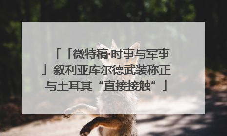 「微特稿·时事与军事」叙利亚库尔德武装称正与土耳其“直接接触”