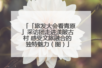 「旅发大会看青原」采访团走进渼陂古村 感受文旅融合的独特魅力（图）