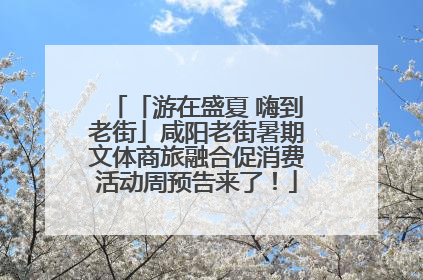「游在盛夏 嗨到老街」咸阳老街暑期文体商旅融合促消费活动周预告来了！