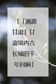 「溯源甘肃」甘肃境内古长城的千年回响