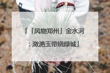 「风物郑州」金水河：潋滟玉带绕绿城