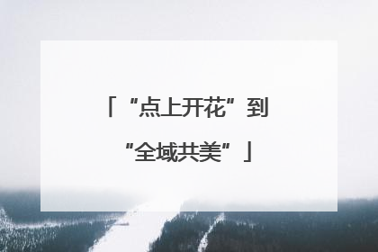 “点上开花”到“全域共美”