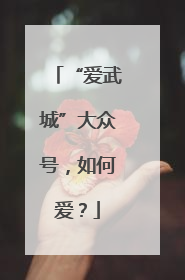 “爱武城”大众号，如何爱？