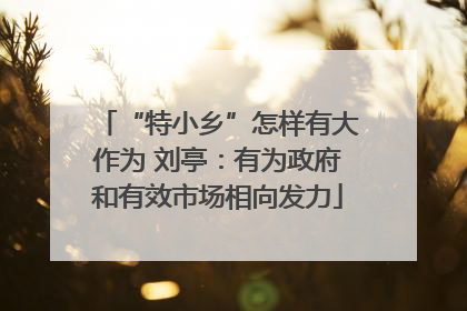 “特小乡”怎样有大作为 刘亭：有为政府和有效市场相向发力