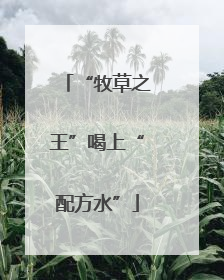 “牧草之王”喝上“配方水”