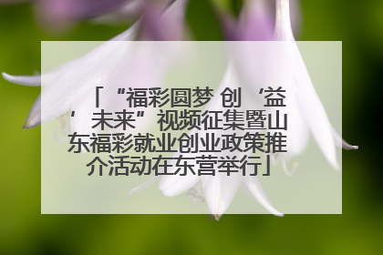 “福彩圆梦 创‘益’未来”视频征集暨山东福彩就业创业政策推介活动在东营举行