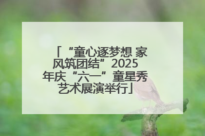 “童心逐梦想 家风筑团结”2025年庆“六一”童星秀艺术展演举行