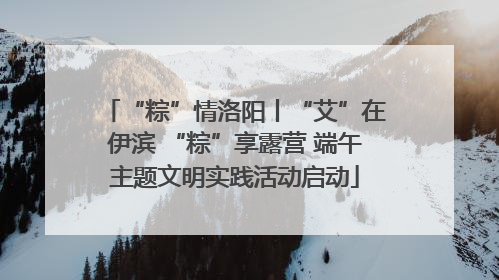 “粽”情洛阳丨“艾”在伊滨 “粽”享露营 端午主题文明实践活动启动
