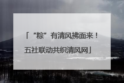 “粽”有清风拂面来！五社联动共织清风网