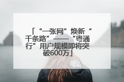 “一张网”焕新“千条路”——“粤通行”用户规模即将突破600万
