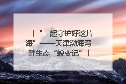 “一起守护好这片海”——天津渤海湾畔生态“蜕变记”