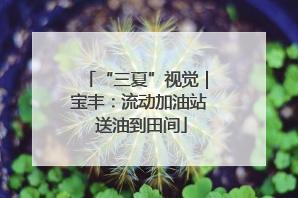 “三夏”视觉｜宝丰：流动加油站 送油到田间