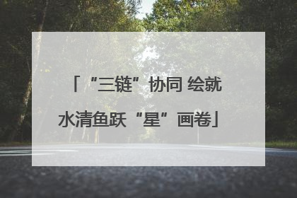“三链”协同 绘就水清鱼跃“星”画卷