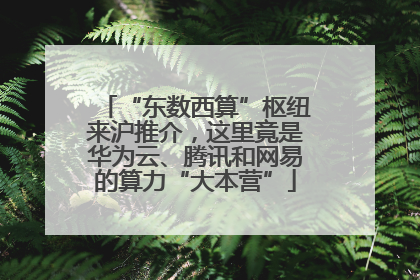 “东数西算”枢纽来沪推介，这里竟是华为云、腾讯和网易的算力“大本营”