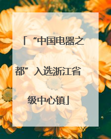“中国电器之都”入选浙江省级中心镇