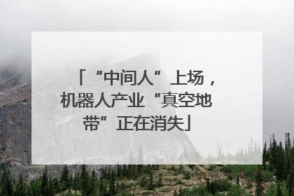 “中间人”上场，机器人产业“真空地带”正在消失
