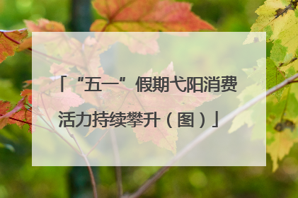 “五一”假期弋阳消费活力持续攀升（图）