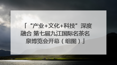 “产业+文化+科技”深度融合 第七届九江国际名茶名泉博览会开幕（组图）