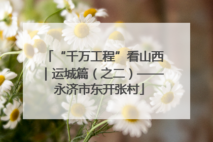 “千万工程”看山西｜运城篇（之二）——永济市东开张村
