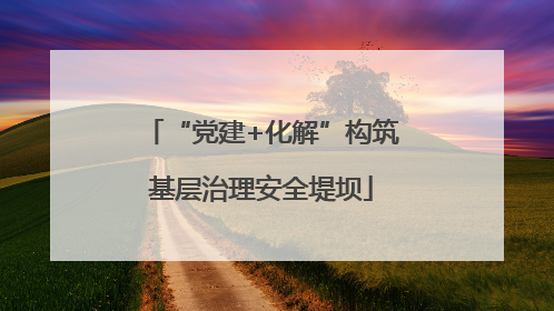 “党建+化解”构筑基层治理安全堤坝