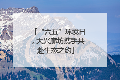 “六五”环境日，大兴廊坊携手共赴生态之约