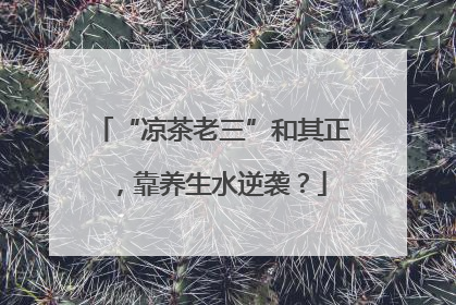 “凉茶老三”和其正，靠养生水逆袭？