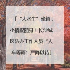 “大水牛”坐镇，小撬棍随身！长沙城区防办工作人员“人车等雨”严阵以待