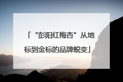 “彭阳红梅杏”从地标到金标的品牌蜕变