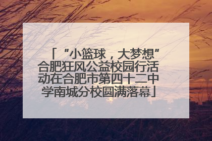 “小篮球，大梦想”合肥狂风公益校园行活动在合肥市第四十二中学南城分校圆满落幕