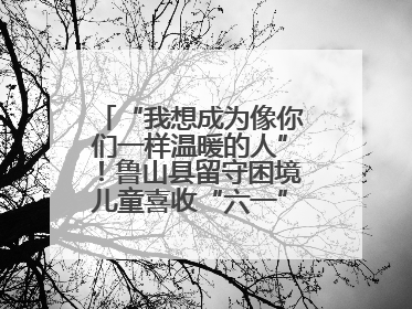 “我想成为像你们一样温暖的人”！鲁山县留守困境儿童喜收“六一”暖心礼