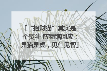 “招财猫”其实是一个熨斗 博物馆回应：是猫是虎，见仁见智