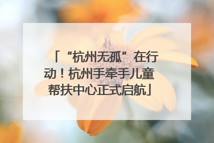 “杭州无孤”在行动！杭州手牵手儿童帮扶中心正式启航