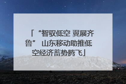 “智驭低空 翼展齐鲁” 山东移动助推低空经济蓄势腾飞