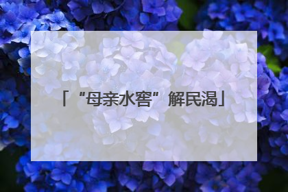 “母亲水窖”解民渴