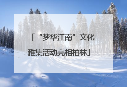 “梦华江南”文化雅集活动亮相柏林