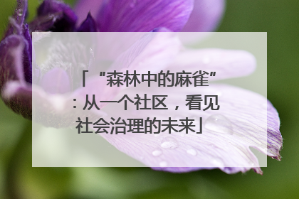 “森林中的麻雀”：从一个社区，看见社会治理的未来