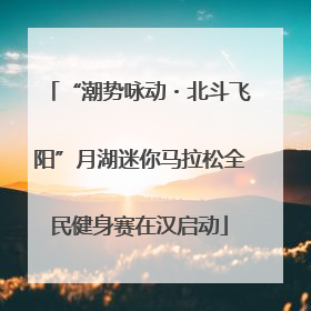 “潮势咏动・北斗飞阳”月湖迷你马拉松全民健身赛在汉启动