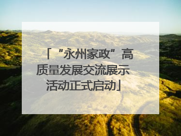 “永州家政”高质量发展交流展示活动正式启动