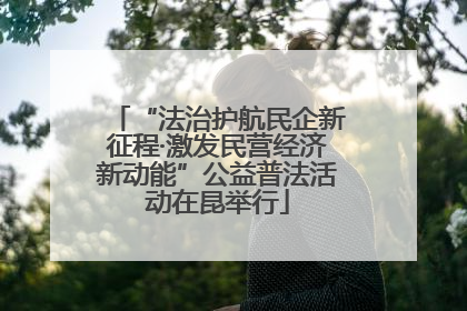 “法治护航民企新征程·激发民营经济新动能”公益普法活动在昆举行