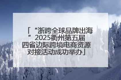 “浙跨全球品牌出海”2025衢州第五届四省边际跨境电商资源对接活动成功举办