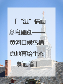 “湿”情画意鸟翩跹——黄河口候鸟栖息地再绘生态新画卷
