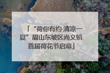 “荷你有约·清凉一夏”眉山东坡区尚义镇首届荷花节启幕