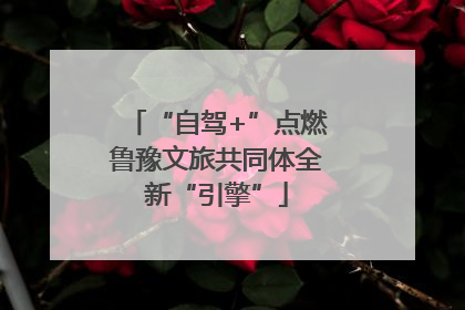 “自驾+”点燃鲁豫文旅共同体全新“引擎”