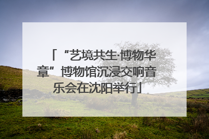 “艺境共生·博物华章”博物馆沉浸交响音乐会在沈阳举行