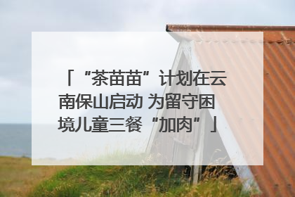 “茶苗苗”计划在云南保山启动 为留守困境儿童三餐“加肉”