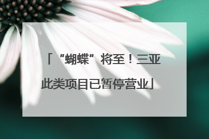 “蝴蝶”将至！三亚此类项目已暂停营业