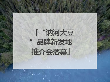 “讷河大豆”品牌新发地推介会落幕